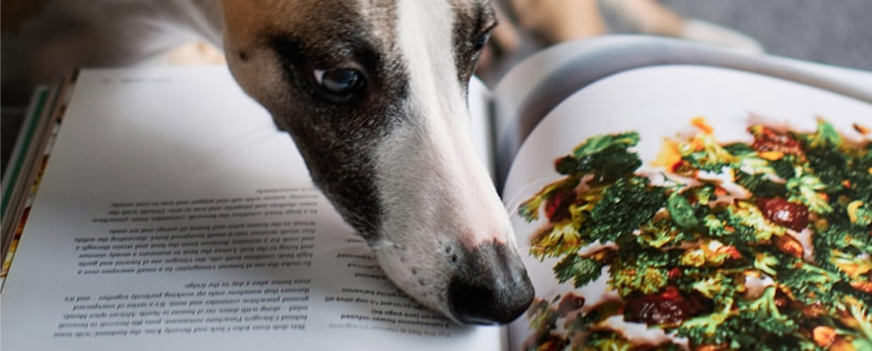 Dog Nutrition Course: A Complete Guide for Pet Parents