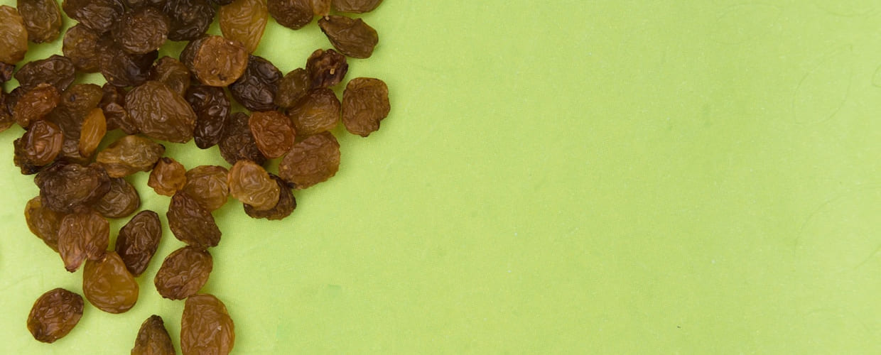 Worms in Dog Poop: Causes, Symptoms, and Treatment Tips