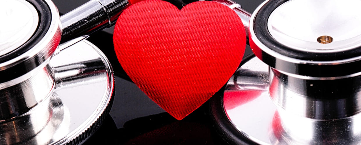 Heartworm Prevention: What Every Pet Parent Needs to Know