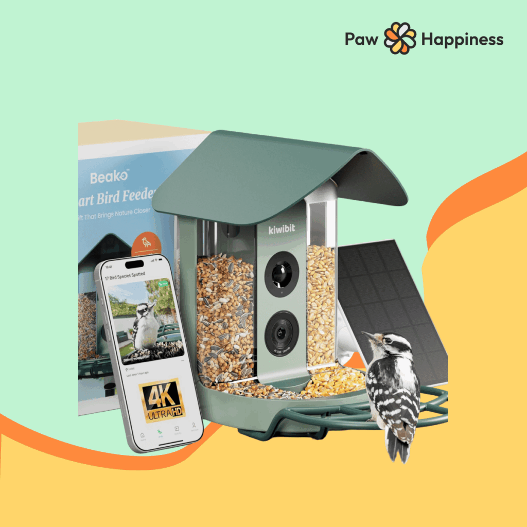 Kiwibit Beako Smart Bird Feeder