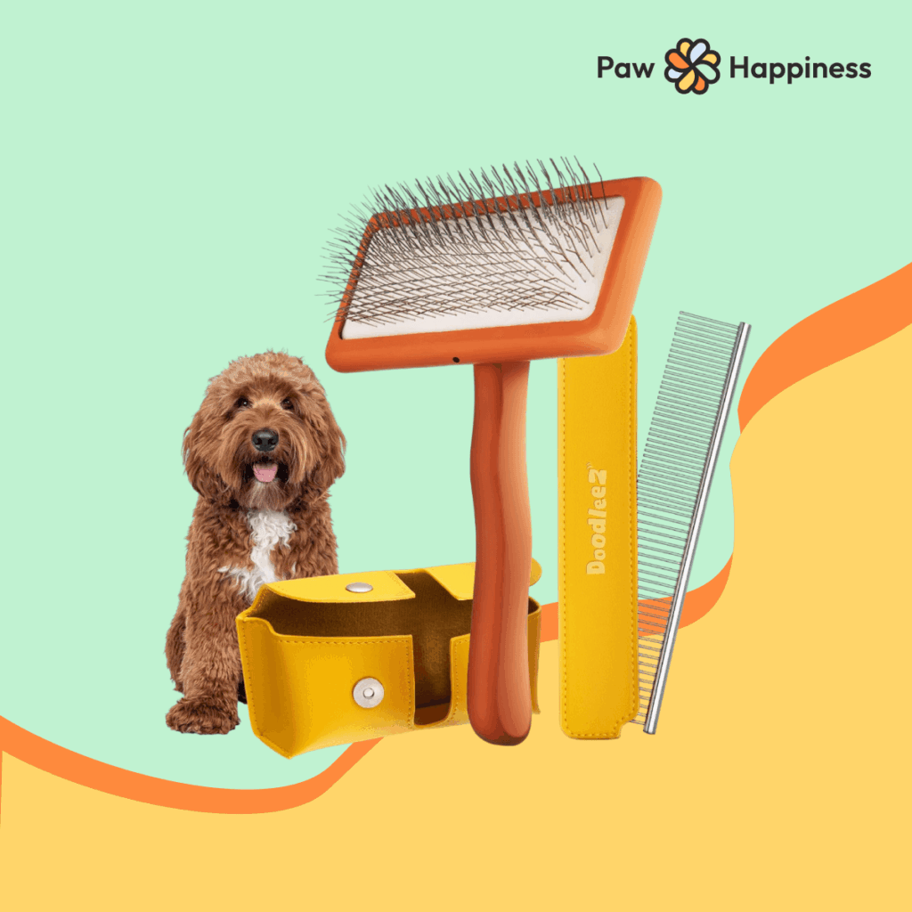 DOODLEEZ Doodle Brush Set