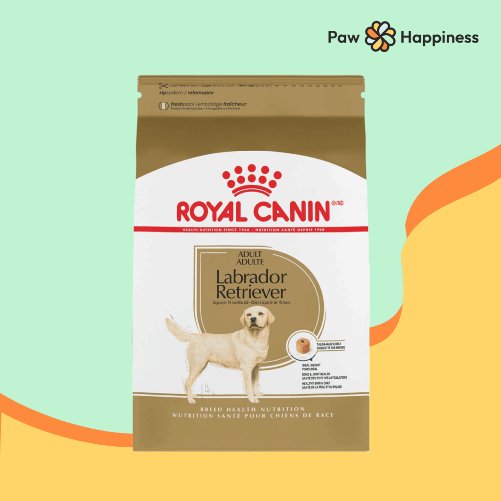 Royal Canin Great Dane Adult Food
